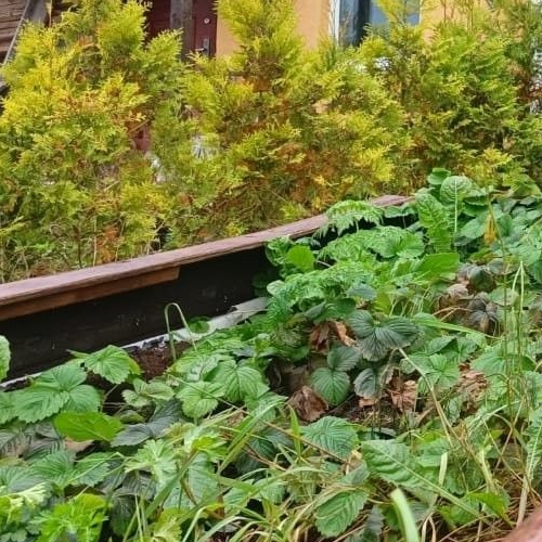 Коттедж/дом пос. Пудость, улица Усадебная, 17