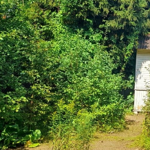 Коттедж/дом Форт Ино СНТ, 4-я линия, 73