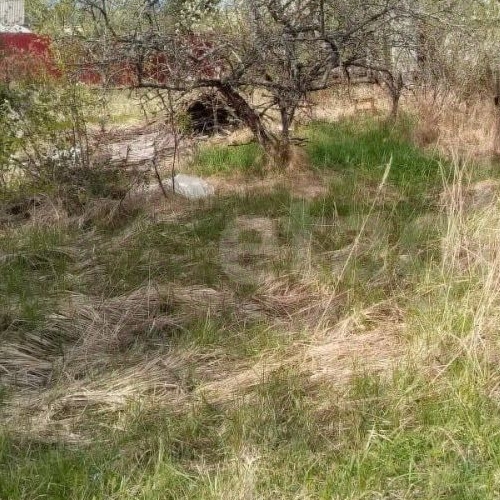 Коттедж/дом Чайка СНТ, улица 9-я, 21