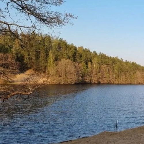 1-комн квартира пос. Поляны, шоссе Выборгское, 49к3