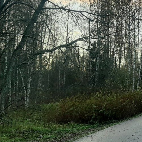 Земельный участок пос. Серово, дорога Линдуловская, 23