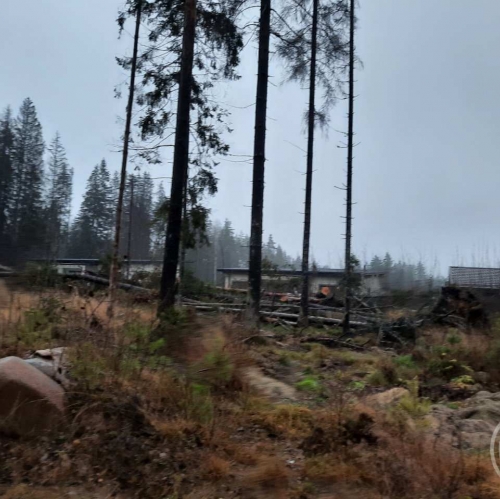 Земельный участок Сертолово г., Медное озеро 3 днп