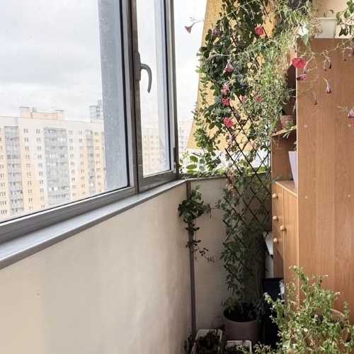 1-комн квартира улица Белышева, 5/6