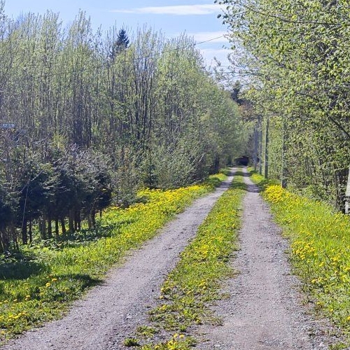 Земельный участок Надежда ТСН,  д. 490