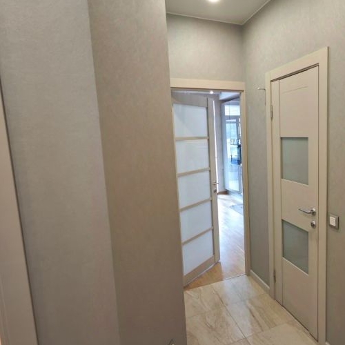 1-комн квартира Пушкин, Саперная улица, 55к2с1