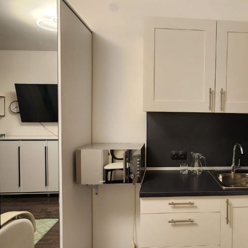 Студия проспект Ветеранов, 185к3