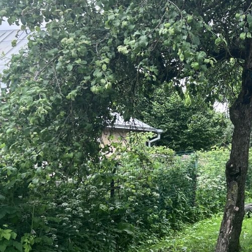 Коттедж/дом д. Вопша, 50