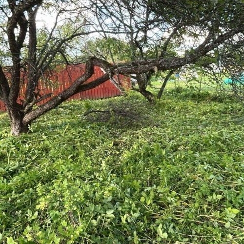 Коттедж/дом Кингисепп, Сережино садоводческий массив, Химик СНТ, улица Вишневая