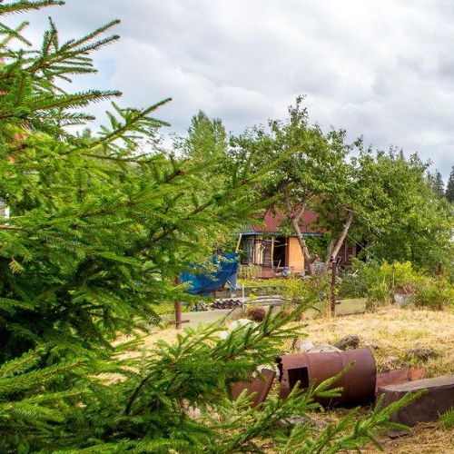 Коттедж/дом Чаща садоводческий массив, Природа СНТ,  д. 238