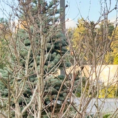 Земельный участок пос. Первомайское, Ручеек-Первомайское СНТ, улица Каштановая