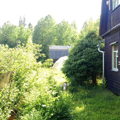 Коттедж/дом Корела СНТ, улица Озерная, 96