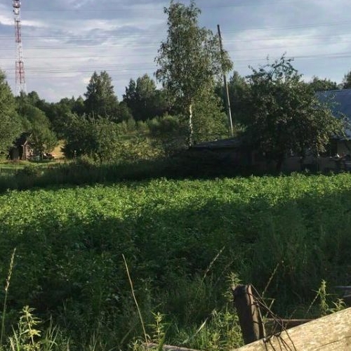 Земельный участок пос. Лососево, улица Нижняя Ключевая