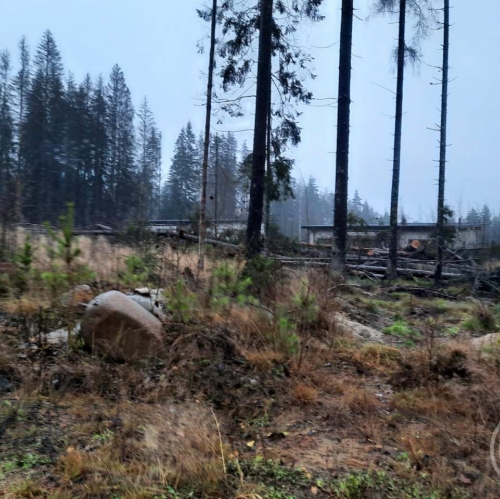 Земельный участок Сертолово г., Медное озеро 3 днп