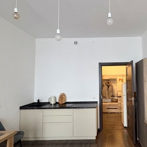 Студия проспект Ветеранов, 196