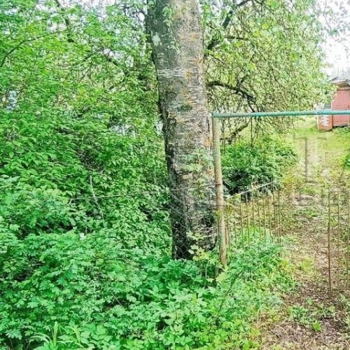 Коттедж/дом Волосово, Нарвская улица, 15А