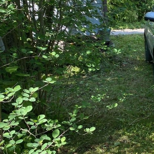 Коттедж/дом пос. Парголово, Климовец СНТ, улица Северная, 69