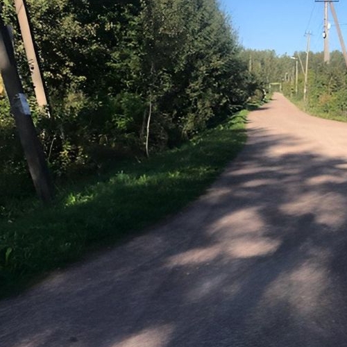 Коттедж/дом Мшинская садоводческий массив