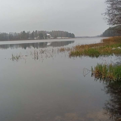 Земельный участок Старая Середка дер.