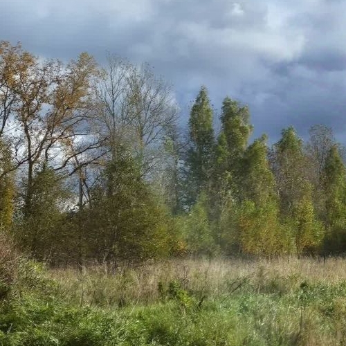 Земельный участок д. Верхние Венки, улица Рождественская