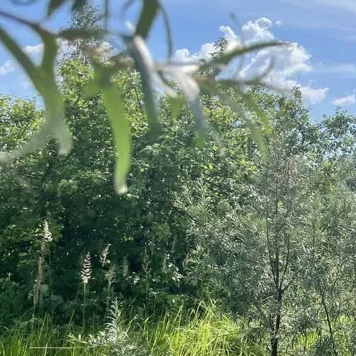 Коттедж/дом Рассвет СНТ, улица 16-я