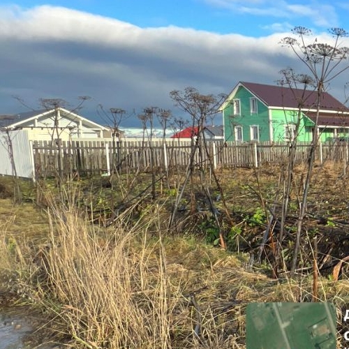 Земельный участок д. Аннолово, проезд 1-й Кошелевский,  д. 10