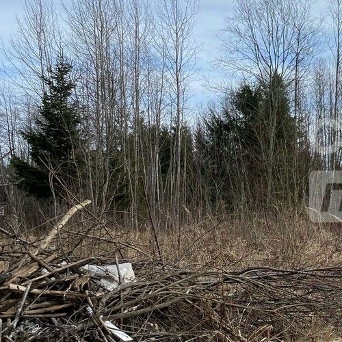 Земельный участок Восточное Радофинниково садоводческий массив, Машиностроитель СНТ, 13-я линия, 5