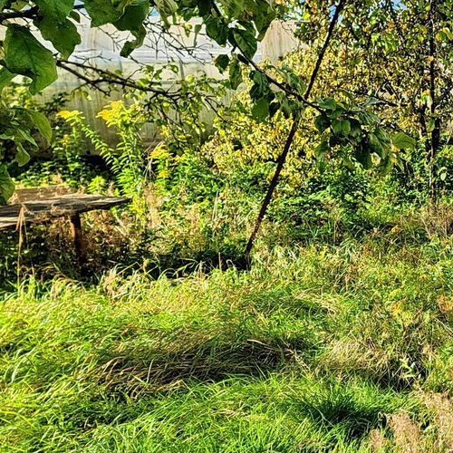 Коттедж/дом Сосновый Бор, Энергетик СНТ, улица Липовая, 14/17