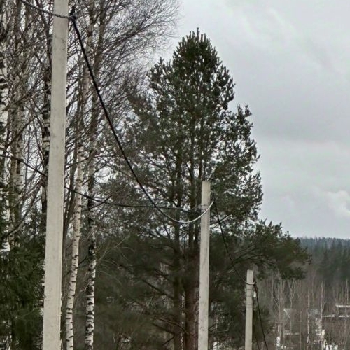 Земельный участок Скотное массив, улица Шоссейная