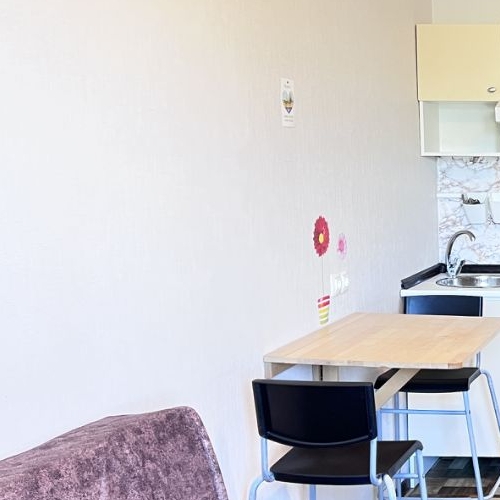 Студия д. Новое Девяткино, улица Флотская, 9