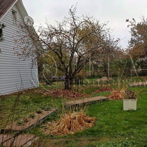 Коттедж/дом Плодовое СНТ