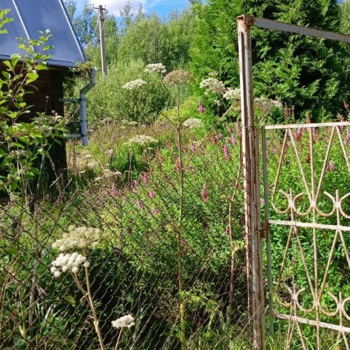 Коттедж/дом Посадников остров садоводческий массив, Позитив-Кириши СНТ