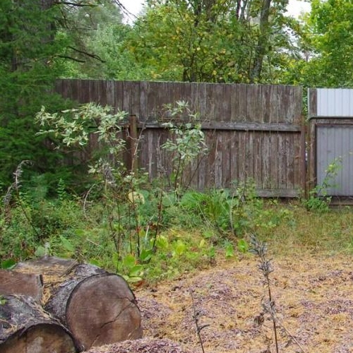 Коттедж/дом Сестрорецк