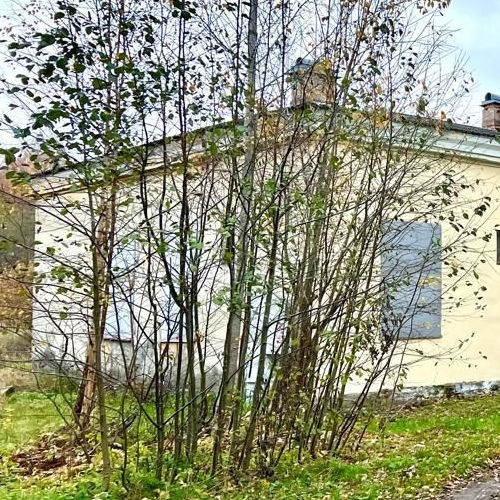 Коттедж/дом Петергоф, Собственный проспект, 84