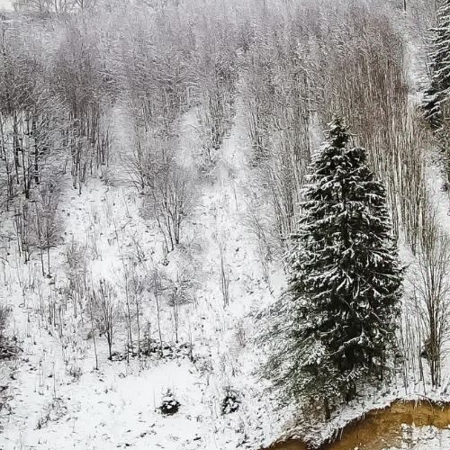 Земельный участок д. Юкки, улица Спортивная