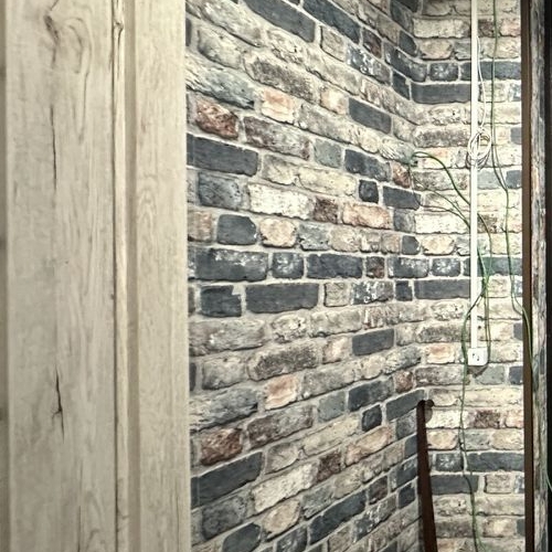 Студия пос. Парголово, Заречная улица, 13к1