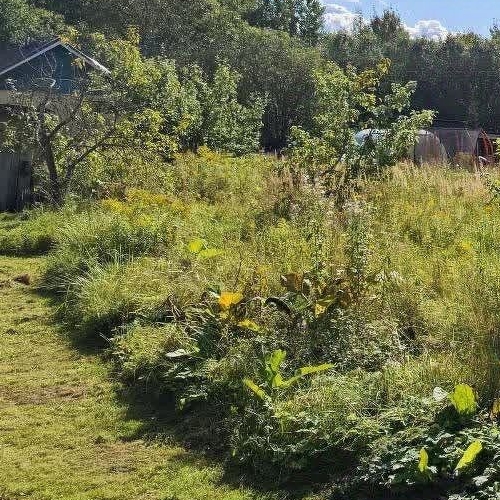 Земельный участок Механизатор СНТ, улица 1-я