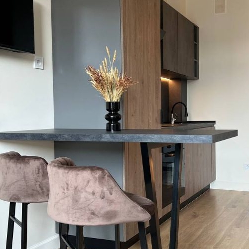 Студия улица Вадима Шефнера, 4