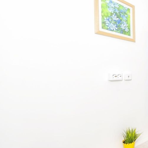 Студия 3-я Васильевского острова линия, 40