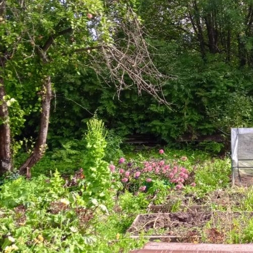 Коттедж/дом с. Паша, улица Пионерская, 1А