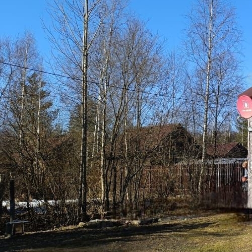 Коттедж/дом Великое СНТ, 46А