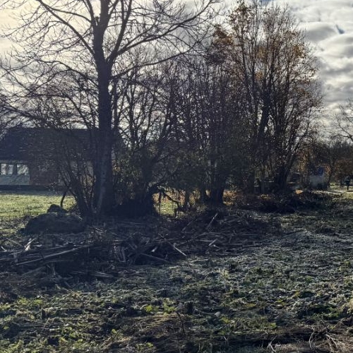 Земельный участок д. Смердовицы, улица Лесная