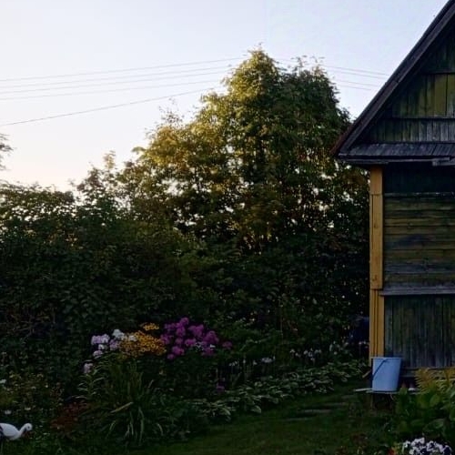 Коттедж/дом Пупышево садоводческий массив, Чайка СНТ, 2-я линия