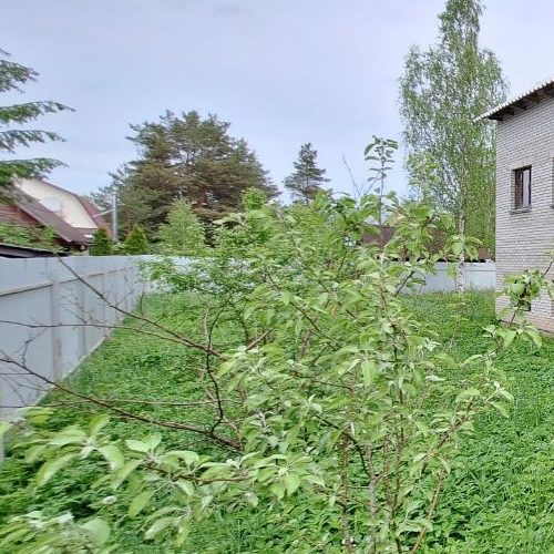 Коттедж/дом Красницы садоводческий массив, Пушкинец садоводческое товарищество, 43