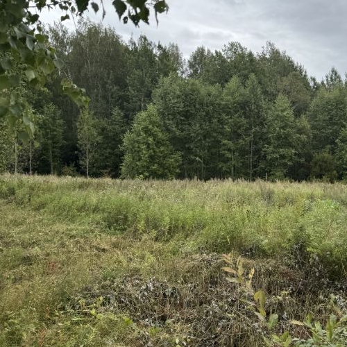 Земельный участок Аквамарин кп, бульвар Солнечный