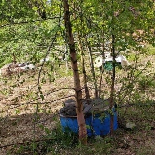 Коттедж/дом Новожилово массив, Орехово СНТ