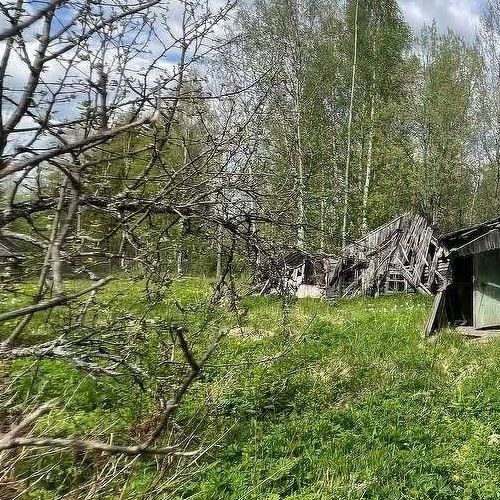 Коттедж/дом Посадников остров садоводческий массив, Дружба-3 СНТ, 21-я линия