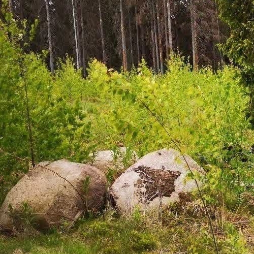 Земельный участок Полянский массив местность, проезд 3-й Камышовый