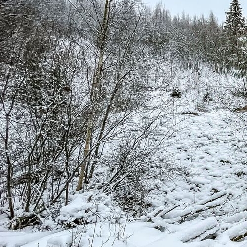 Земельный участок д. Юкки, улица Спортивная