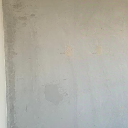 Студия д. Новое Девяткино, улица Главная, 2