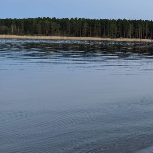 Земельный участок пос. Соловьево, 41